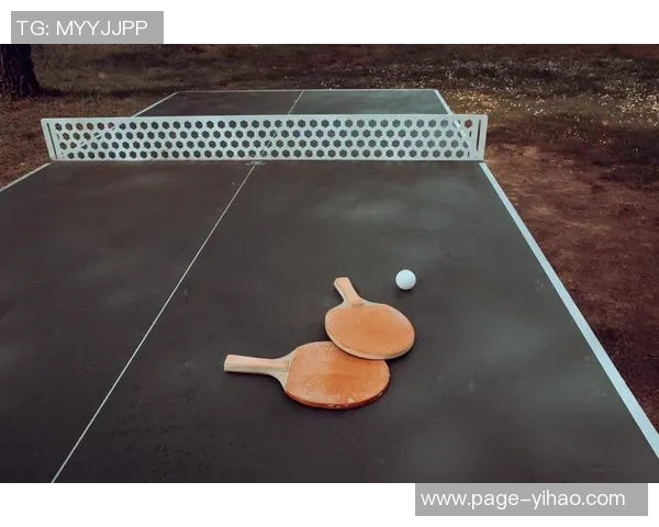 乒乓球新手必看:从零基础到入门高手的全面指南与技巧分享